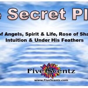 The Secret Place Anointing Oil 1 oz set